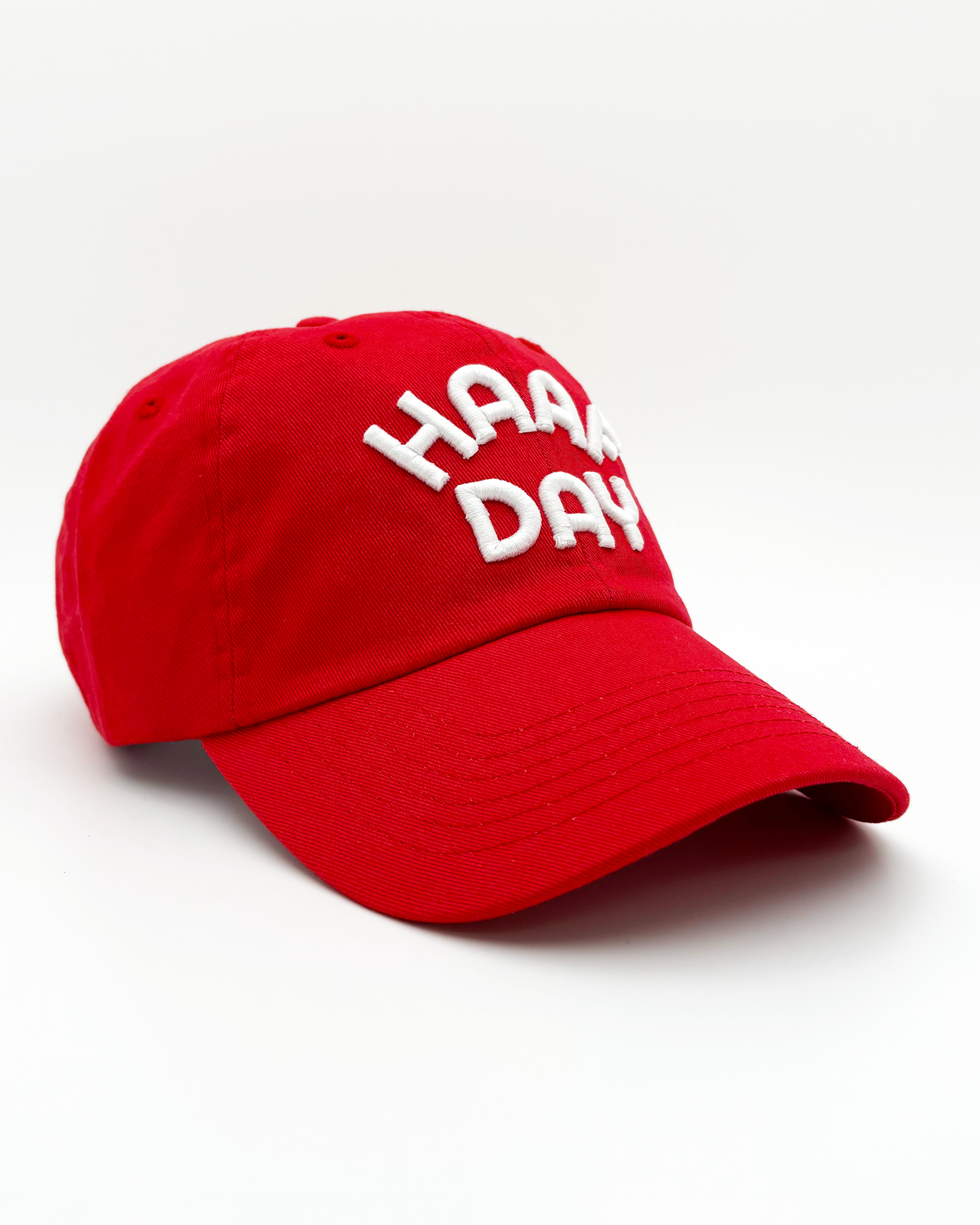Arc logo classic dad hat red