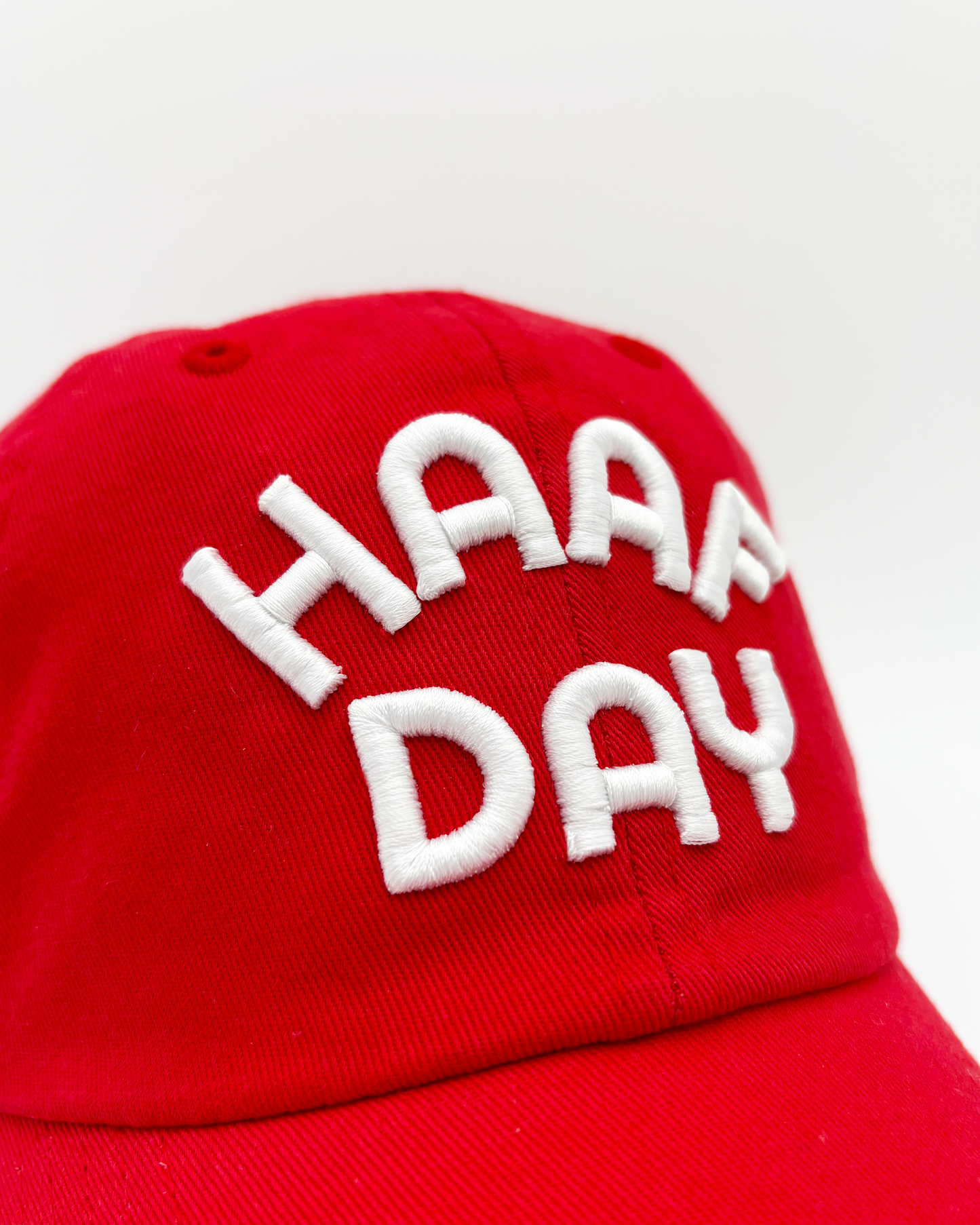 Arc logo classic dad hat red